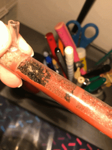 colonie globale, BLOG Messor wasmanni