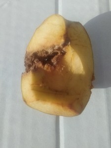 En situation, Une reine dans une pomme?