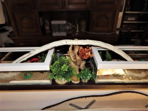 L'ancien pont de bois et <br />son attirante décoration., [Q/R]Les élevages de l'I-D-É-MYR