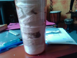 Fiche Aphaenogaster subterranea, 2010-11-08 16.48.11.jpg