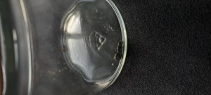 2, [Camponotus fallax] Camponotus aethiops ?
