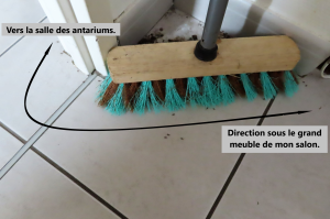 Direction la salle de séjour <br />en se frottant à mon balais., L'évasion du siècle ?