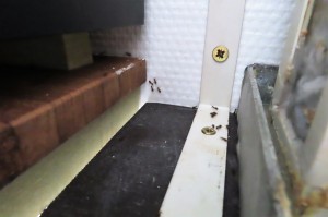 Passage entre deux mondes différents., L'évasion du siècle ?