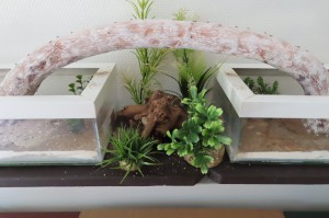 On voit les miettes sur les étagères., L'évasion du siècle ?