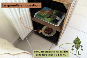 La gamelle en question., L'évasion du siècle ?