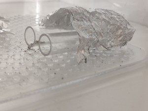Tube du fond:nid tube de l'avant: eau, Mes fourmis boient l'anti-évasion ?