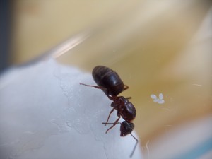 , IMG_20230821_102628.jpg