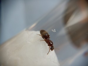 , IMG_20230821_102701.jpg