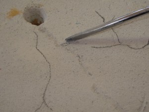 Mes colonies (funkyben), DSC06244.JPG