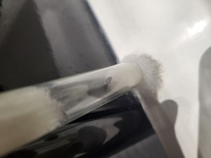 Identification gyne Lyon, 20230922_132608.jpg