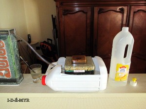 Déménagement du 20 juin 2017<br /> par noyage progressif., [Lasius SP] La colonie un an après !