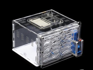 Photo nid 1, Le choix d’un nid