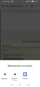 [Q/R] Les fourmis de polyergus lucidus, Screenshot_20231112_112735_android.jpg