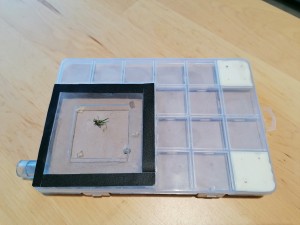 Tuto "nid quasi sans outil", IMG_20231215_083800.jpg