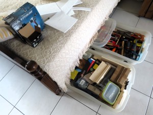 Du bordel..., La nouvelle ADC de mes Camponotus vagus.