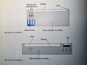 Deux types de petits nids., Antarium pour Messor barbarus.