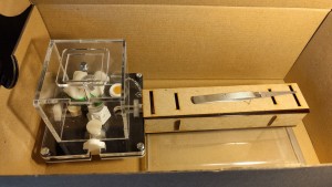 Changement d'environnement<br /> dans un boîte à chaussure que je referme., Lasius flavus de Mimiti