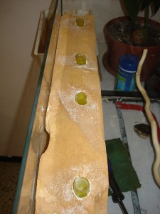 Mes colonies (funkyben), DSC06352.JPG