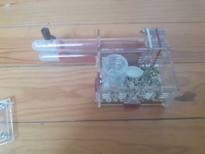 [Q/R] Les C.nicobarensis de Gigantiosp 59, 20240609_122851.jpg