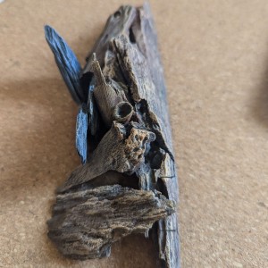 Couvercle anti-lumière, [Blog] Rubis - Myrmica sp.