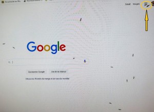 Sur mon écran d'ordi., Question sur essaimage Temnothorax sp