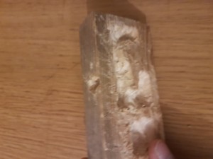 Le nid, Avis sur fourmiliere en bois