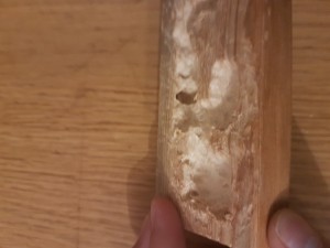Le nid, Avis sur fourmiliere en bois
