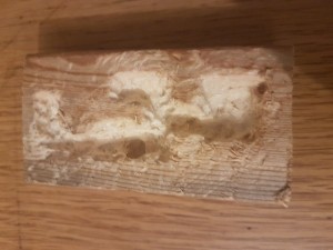 Le nid, Avis sur fourmiliere en bois