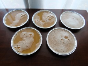 10°) Les cinq moules de Bhatkar en <br />train de gélifier avant congélation., Recette du Bhatkar made in I-D-É-MYR.