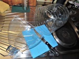 Découpe de la bouteille., [Crematogaster scutellaris] Lasius ?