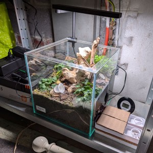 Installation pour l'hiver., [Blog] Rubis - Myrmica sp.