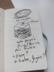 Croquis préparatoire 1, [Q/R] Rubis - Myrmica sp. de Gaetan