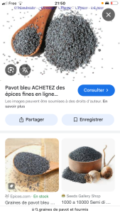 [Q/R] Les Tetramorium de Campo 44, IMG_2339.png