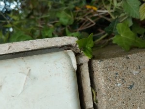 [Q/R] les sanctus de Gigi., IMG_20250418_152819.jpg