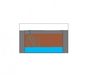 Système d'humidification pour nid en aquarium?, vue de dos du de l'aquarium..jpg