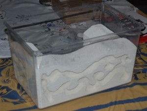 Face avant du nid, Système d'humidification pour nid en aquarium?