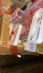 1 branchement au nouveau nid, [Blog] Camponotus barbaricus Marmoun