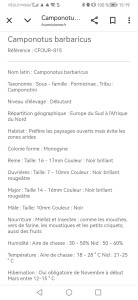 [Q/R] Camponotus barbaricus Marmoun, Screenshot_20250601_151948_com.android.chrome.jpg