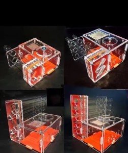 Nouveau nid ?, IMG_2168.jpeg