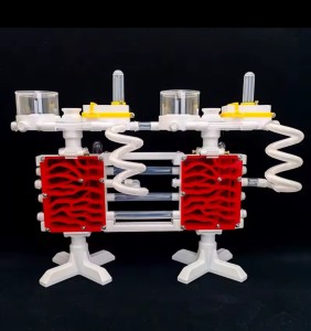 Nouveau nid ?, IMG_2169.jpeg