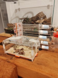 , IMG_20250601_204426.jpg