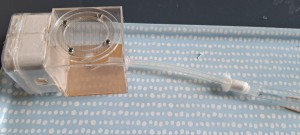 Fondation Lasius niger, 20250603_182455.jpg