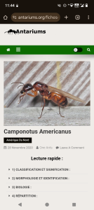 [Q/R] les américaines de Gigi !, Screenshot_20250605-114452.png