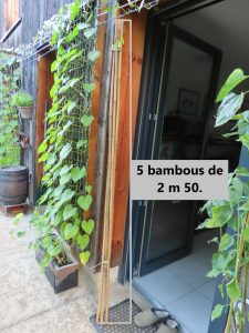 Mes cinq bambous., Abeilles et guêpes solitaires