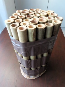 Nids pour Xylocopes violets., Abeilles et guêpes solitaires