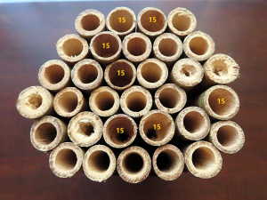 Entrées à 12 et 15 mm de diamètre., Abeilles et guêpes solitaires