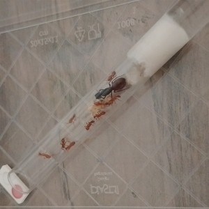 [Blog] Les américaines de Gigi !, IMG_20250628_114334.jpg