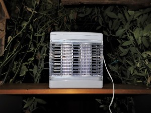 Mon piège à insectes..., Trouver/Attirer/Acheter des insectes (et dangers)