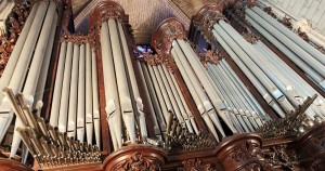Identification de plusieurs gynes., Orgue de Notre Dame de Paris.jpg