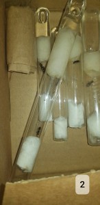 Identification 2 gynes sur Lille, 20250727_061036.jpg